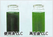 LLC